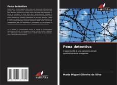 Buchcover von Pena detentiva