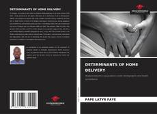 Bookcover of DETERMINANTS OF HOME DELIVERY