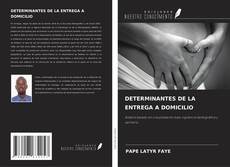 Buchcover von DETERMINANTES DE LA ENTREGA A DOMICILIO