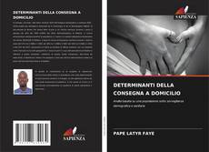 Bookcover of DETERMINANTI DELLA CONSEGNA A DOMICILIO