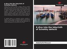 Bookcover of A dive into the labyrinth of Schottky defects