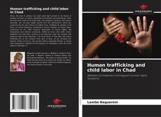 Borítókép a  Human trafficking and child labor in Chad - hoz