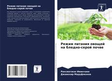 Bookcover of Режим питания овощей на бледно-серой почве