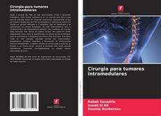 Capa do livro de Cirurgia para tumores intramedulares 