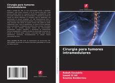 Portada del libro de Cirurgia para tumores intramedulares