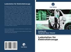 Ladestation für Elektrofahrzeuge kitap kapağı