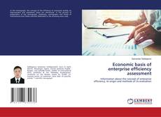 Copertina di Economic basis of enterprise efficiency assessment
