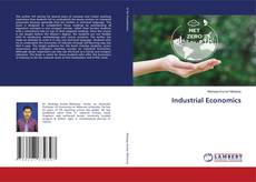Buchcover von Industrial Economics