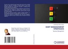 Buchcover von DEBT MANAGEMENT STRATEGIES