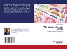Copertina di Why is labor cheap in China?