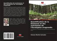 Borítókép a  Quantification de la biomasse et des nutriments de l'Eucalyptus urograndis - hoz