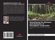 Portada del libro de Quantifying the Biomass and Nutrients of Eucalyptus urograndis