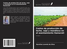 Buchcover von Costos de producción de leche, soja y mandioca en el asentamiento Itamarati
