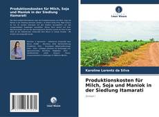 Обложка Produktionskosten für Milch, Soja und Maniok in der Siedlung Itamarati