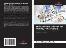 Copertina di The Economic Outlook for Muriaé, Minas Gerais
