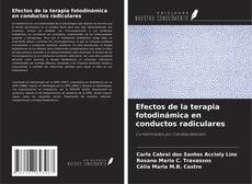 Portada del libro de Efectos de la terapia fotodinámica en conductos radiculares
