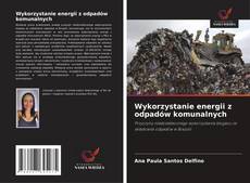 Copertina di Wykorzystanie energii z odpadów komunalnych
