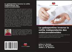 Borítókép a  La gabapentine inverse la colite indépendante des endocannabinoïdes - hoz