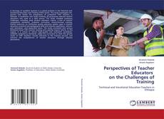 Bookcover of Perspectives of Teacher Educators on the Challenges of Training
