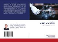 Buchcover von CYBER LAW TERMS