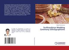 Capa do livro de Surkhandarya Wedding Ceremony Ethnographisms 