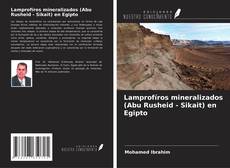 Couverture de Lamprofíros mineralizados (Abu Rusheid - Sikait) en Egipto