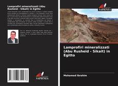 Bookcover of Lamprofiri mineralizzati (Abu Rusheid - Sikait) in Egitto
