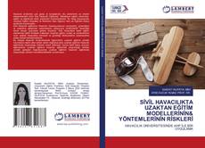SİVİL HAVACILIKTA UZAKTAN EĞİTİM MODELLERİNİN& YÖNTEMLERİNİN RİSKLERİ kitap kapağı