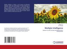 Buchcover von Multiple Intelligence