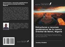 Copertina di Estructuras y recursos geotérmicos de la cuenca oriental de Benín, Nigeria