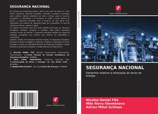 Bookcover of SEGURANÇA NACIONAL
