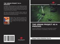 THE URBAN PROJECT AS A PROCESS的封面