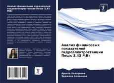 Portada del libro de Анализ финансовых показателей гидроэлектростанции Пешк 3,43 МВт