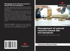 Обложка Management of natural resource-based IGA microprojects
