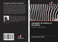 Buchcover von Immagini di notizie su Rondônia