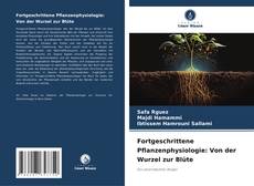 Borítókép a  Fortgeschrittene Pflanzenphysiologie: Von der Wurzel zur Blüte - hoz