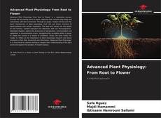 Bookcover of Advanced Plant Physiology: From Root to Flower