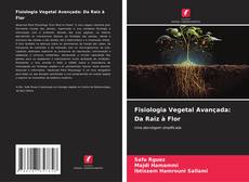 Fisiologia Vegetal Avançada: Da Raiz à Flor的封面