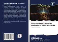 Buchcover von Продвинутая физиология растений: от корня до цветка
