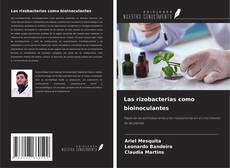 Buchcover von Las rizobacterias como bioinoculantes