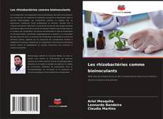 Portada del libro de Les rhizobactéries comme bioinoculants