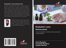 Capa do livro de Rizobatteri come bioinoculanti 