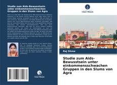 Studie zum Aids-Bewusstsein unter einkommensschwachen Gruppen in den Slums von Agra的封面