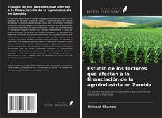 Copertina di Estudio de los factores que afectan a la financiación de la agroindustria en Zambia