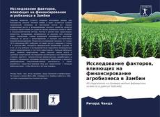 Portada del libro de Исследование факторов, влияющих на финансирование агробизнеса в Замбии