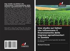 Uno studio sui fattori che influenzano il finanziamento delle imprese agroalimentari in Zambia kitap kapağı