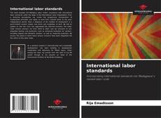 Обложка International labor standards