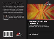 Norme internazionali del lavoro kitap kapağı