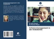 Обложка Schmerzmanagement in der Endodontie