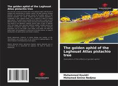 Обложка The golden aphid of the Laghouat Atlas pistachio tree